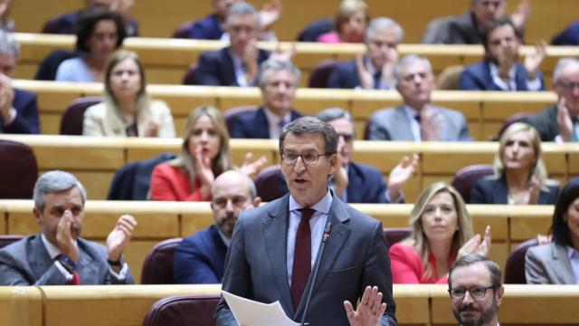 Alberto Núñez Feijóo, durante el debate del Senado con Pedro Sánchez.