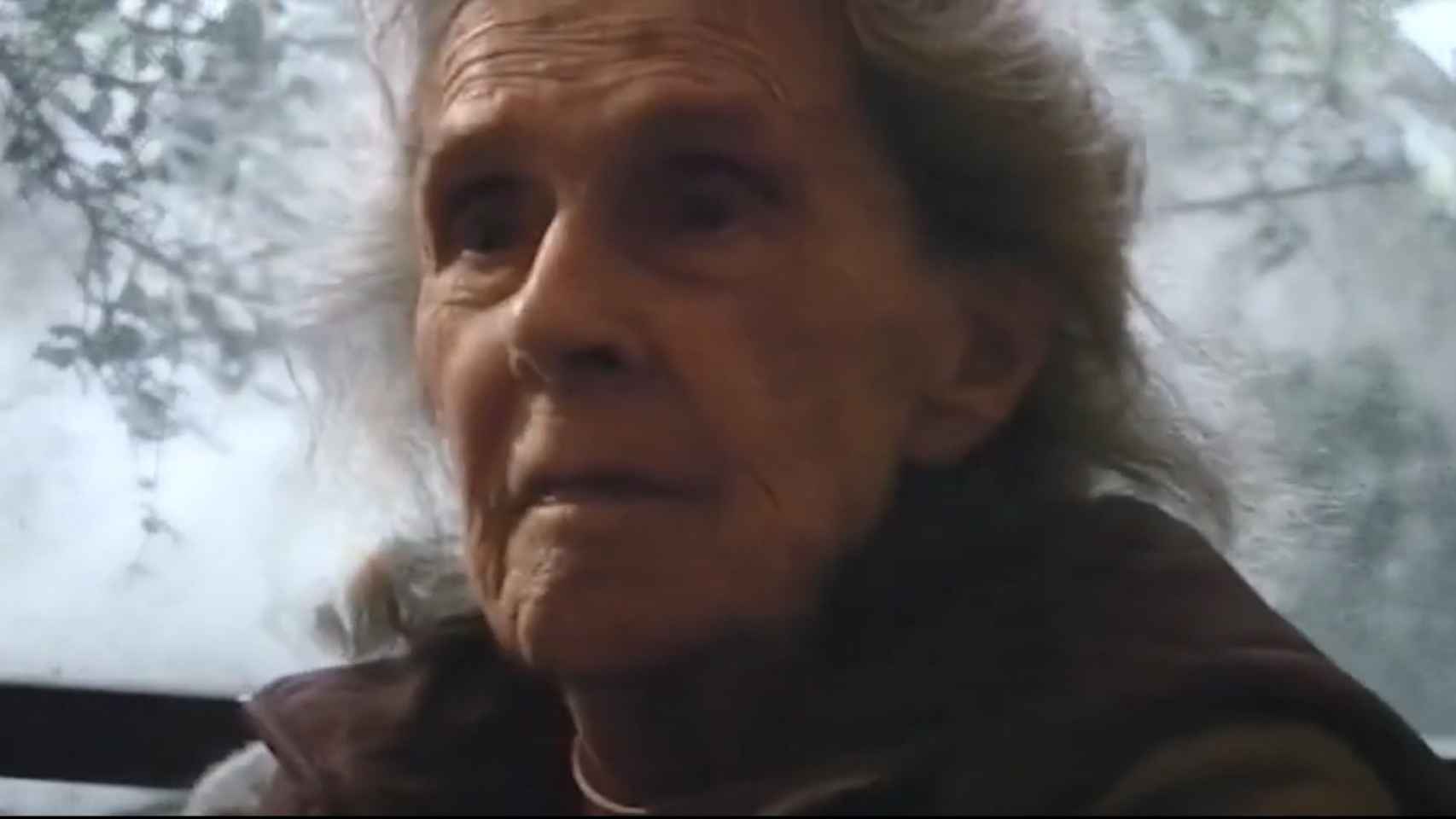Un momento del documental 'Leonora Carrington, the lost surrealist', dirigido por Teresa Griffiths