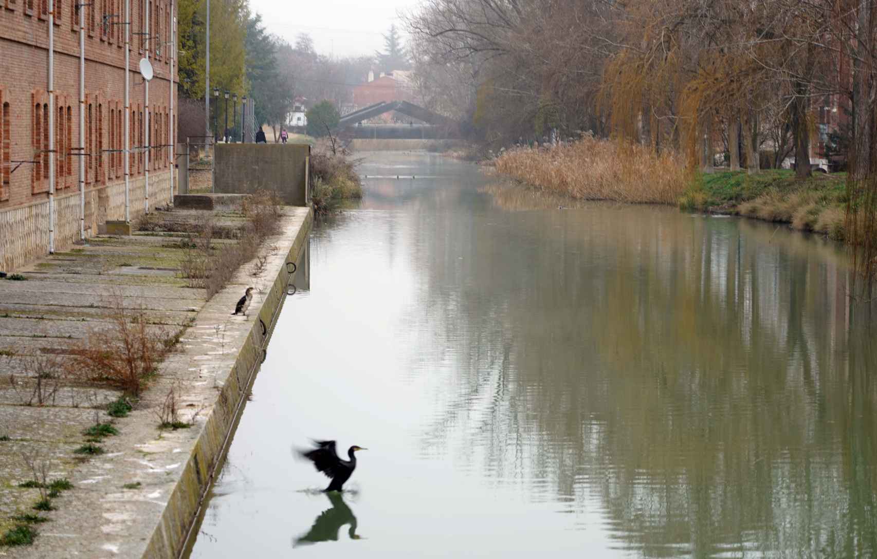 Canal de Castilla en Valladolid