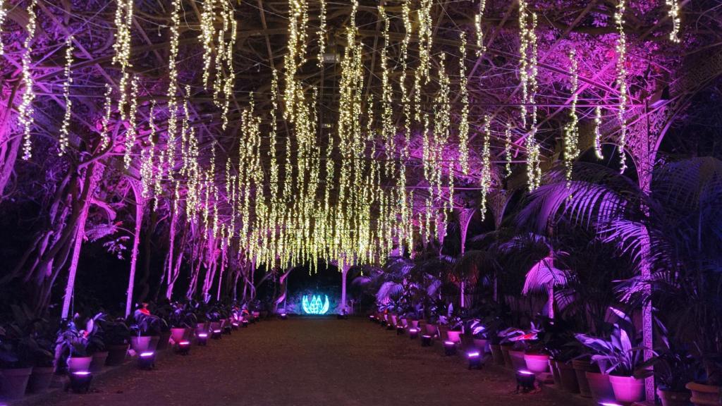 Imagen de archivo del espectáculo navideño en el Jardín Botánico de la Concepción