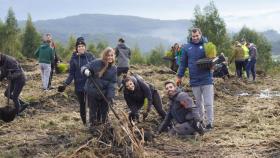 Usuarios de Amicos reforestando el monte de Rois