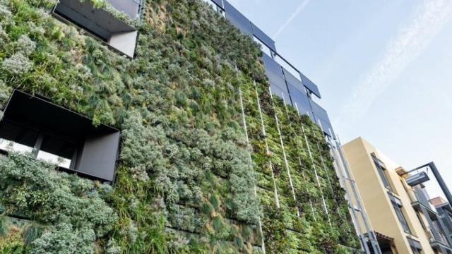 Jardín vertical en un edificio de Barcelona.