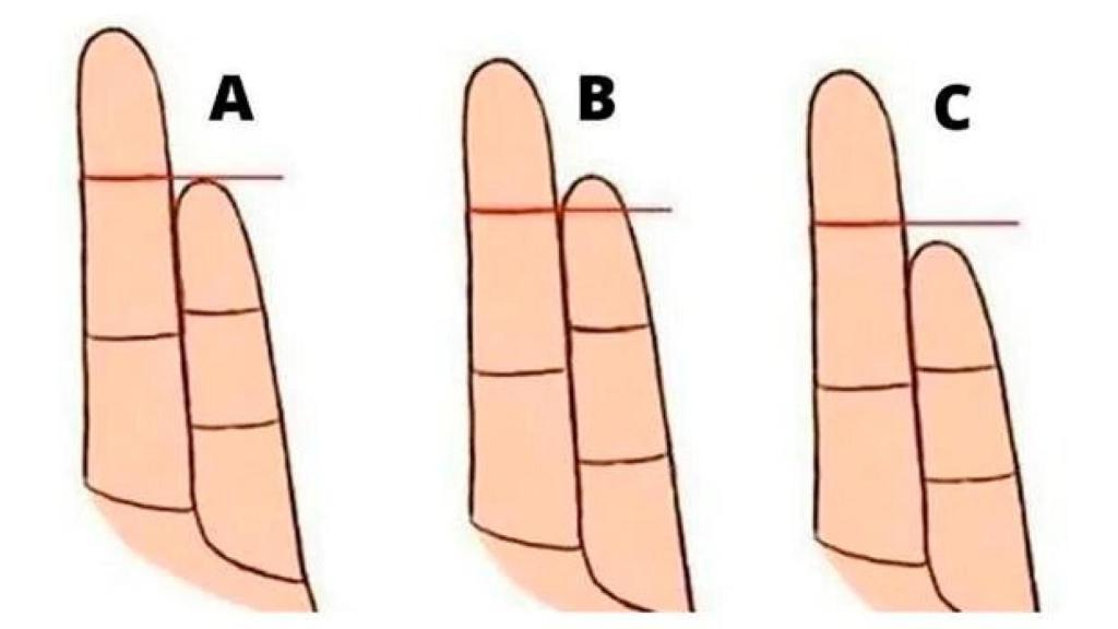 El significado de la longitud de tu dedo meñique.