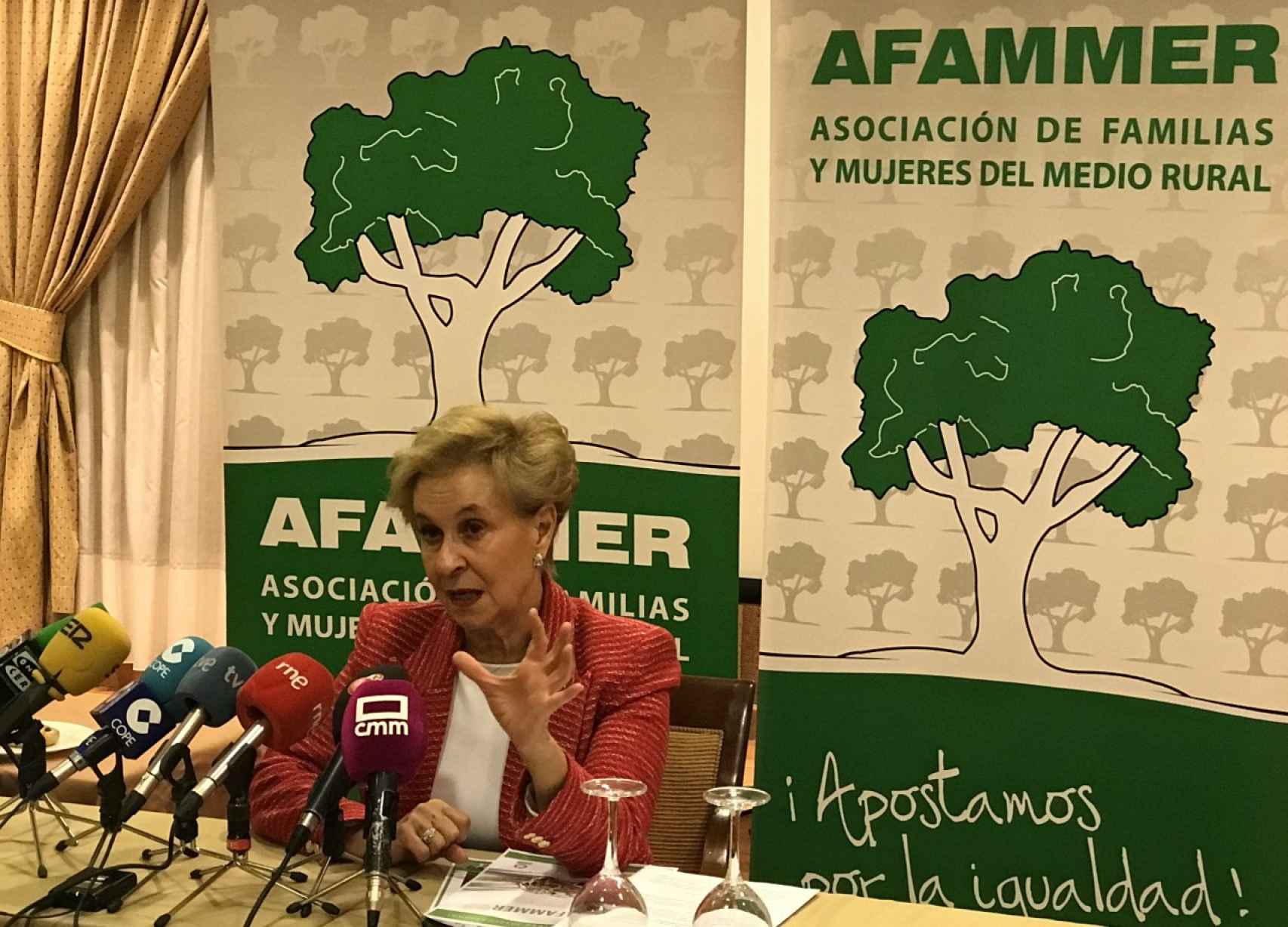 Carmen Quintanilla, presidenta de Afammer. Foto: Julián Cazallas.