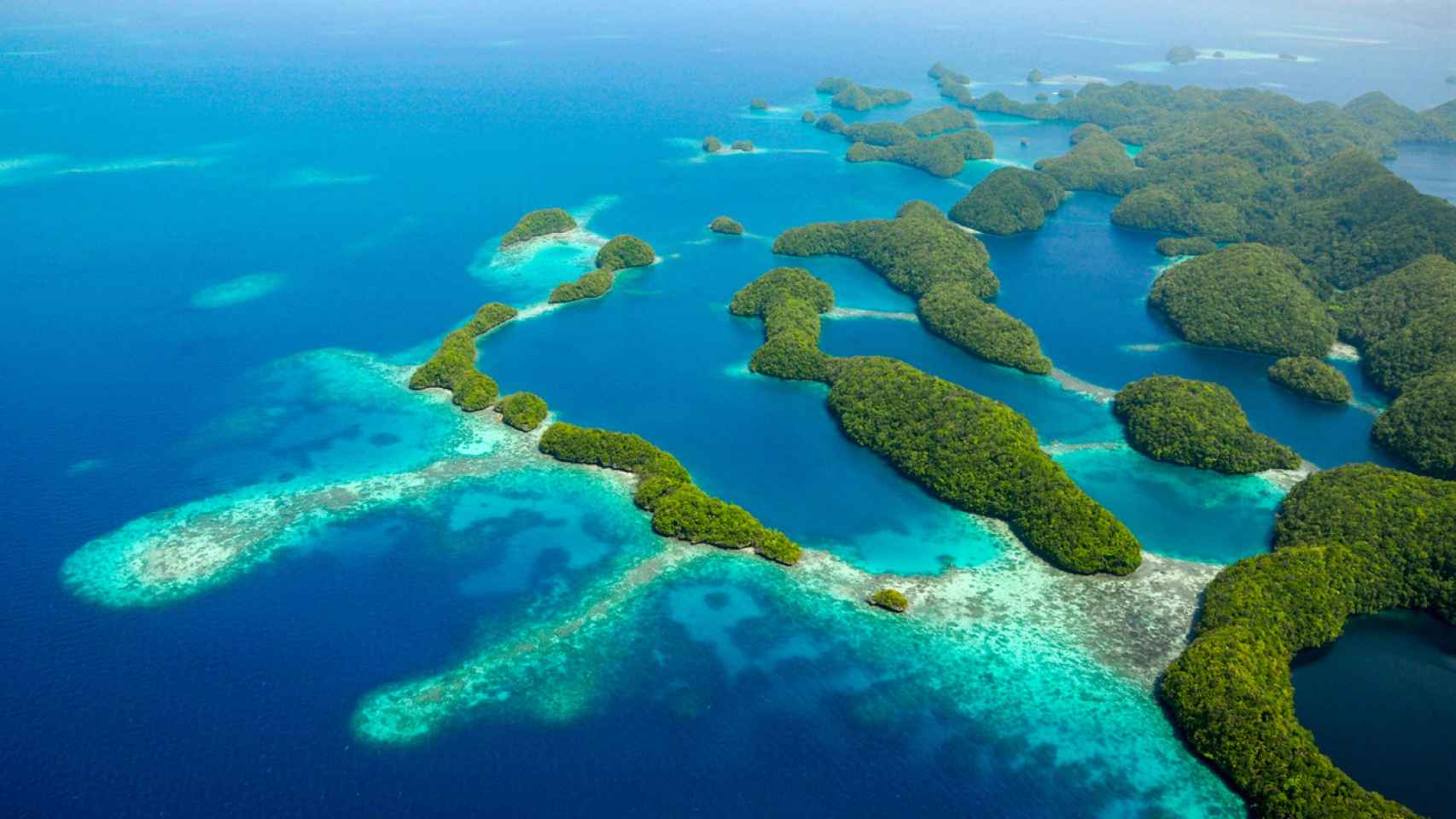 El 'jardín del océano' de Palau en las islas rocosas.