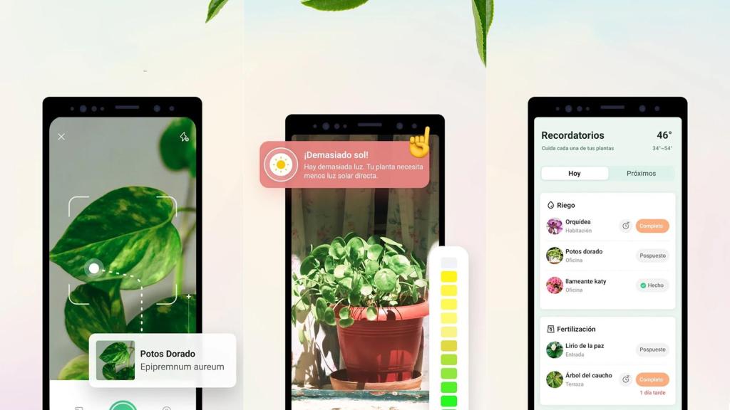 Plant Parent: cuida de tus plantas con sus consejos personalizados y gratuitos