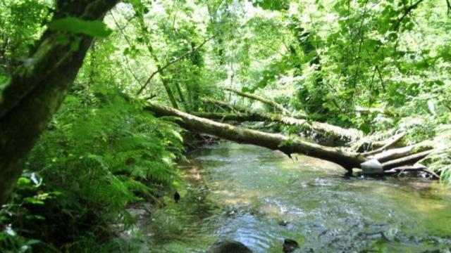 Imagen del Río Bercés.