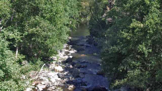 Imagen del río Cabrera