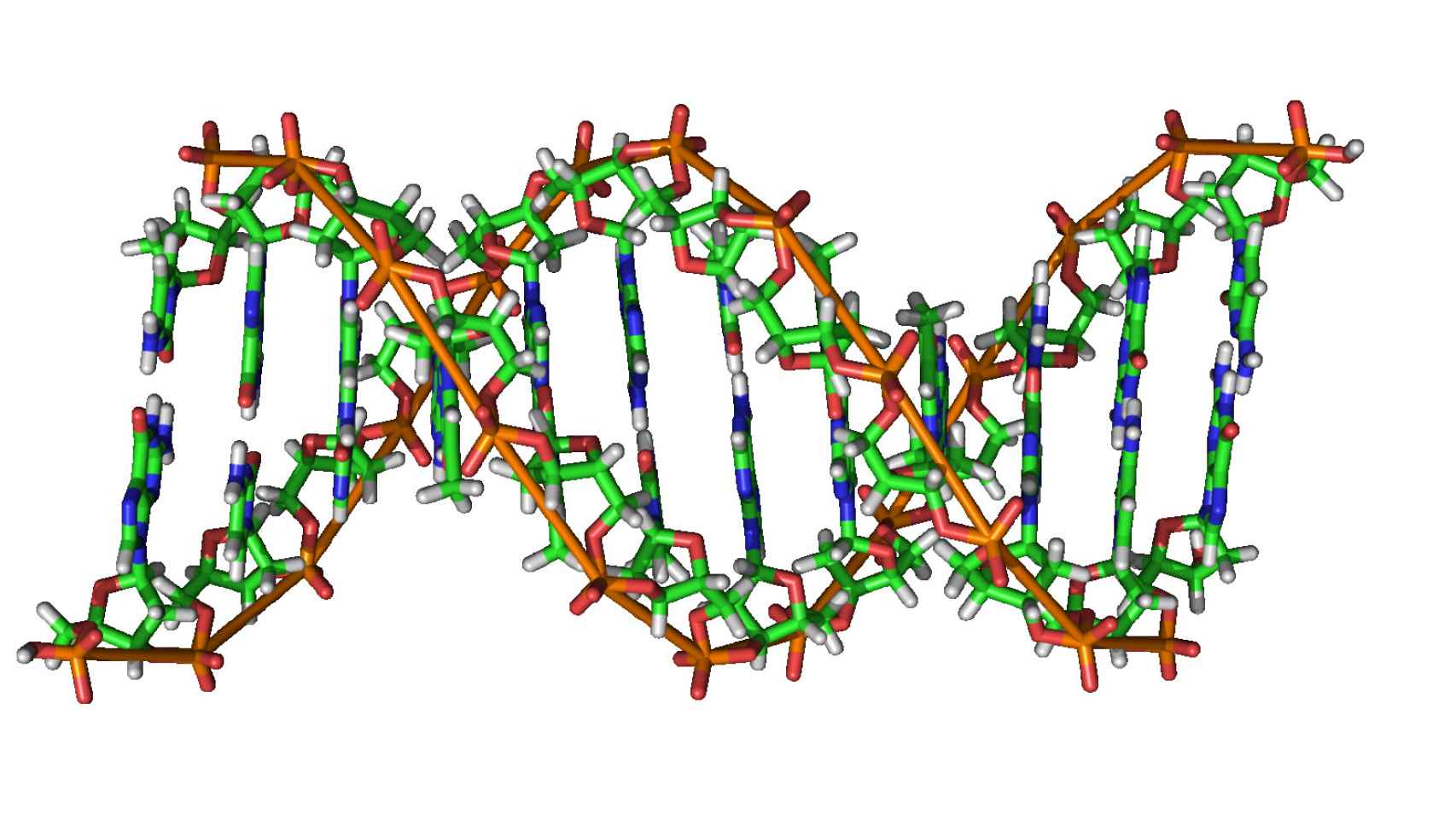 Cadena de ADN.  Imagen: Zephyris
