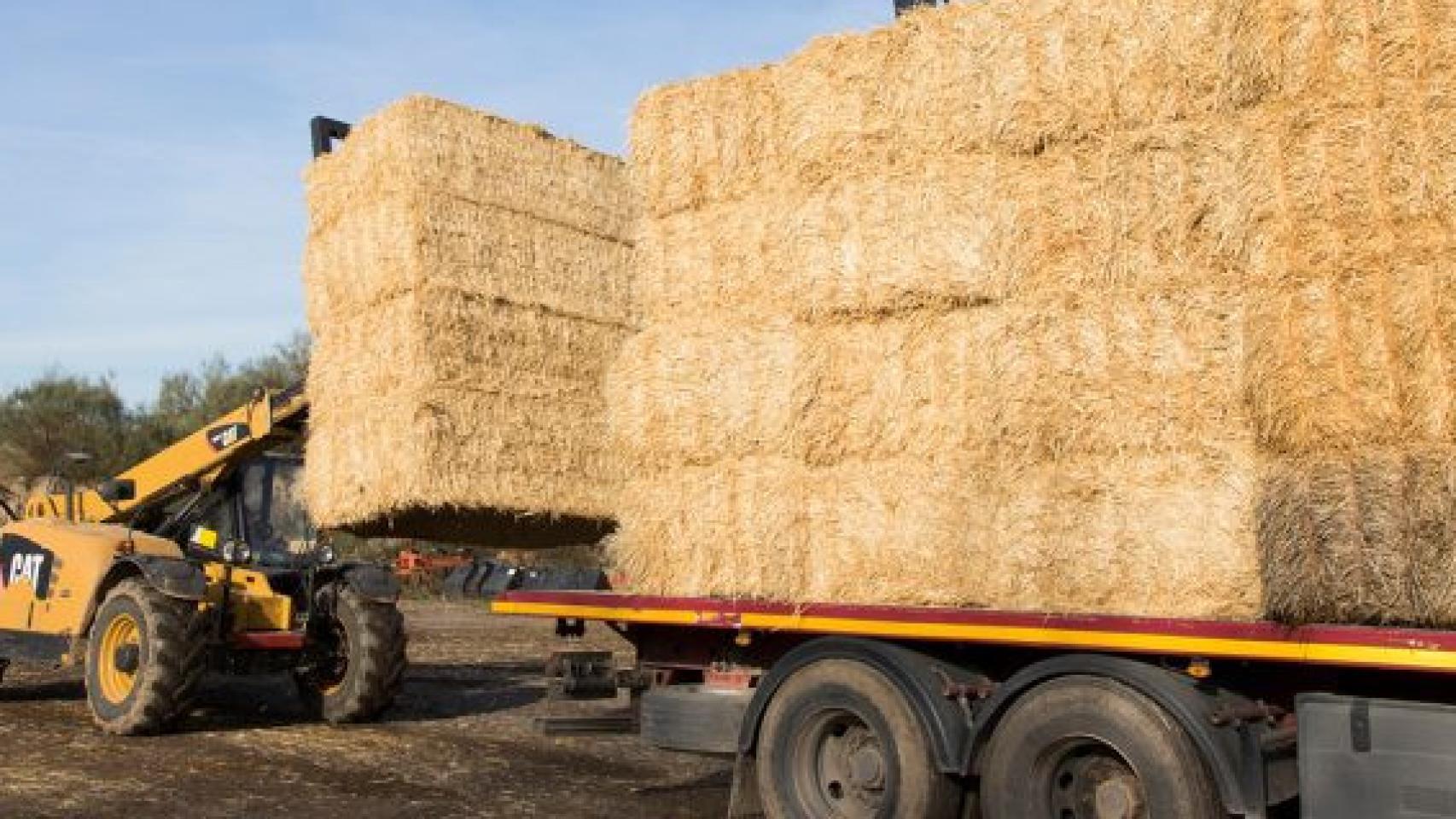 Muere un hombre tras quedar atrapado entre pacas de paja en un pueblo de Burgos