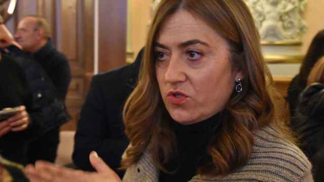 La delegada del Gobierno en Castilla y León Virginia Barcones.