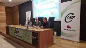 Curso sobre suicidios en Valladolid organizado por CSIF