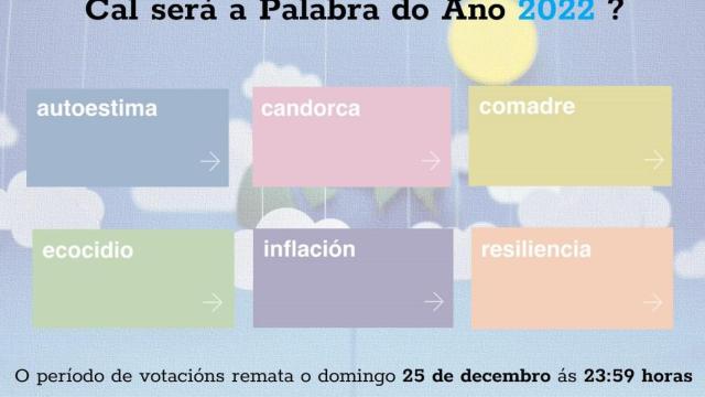 Autoestima, ecocidio o inflación: Las finalistas de la RAG a ‘Palabra do Ano 2022’