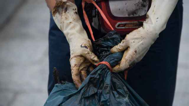Una mujer cierra una bolsa con los restos de chapapote mezclados con algas recogidos en A Illa de Arousa.