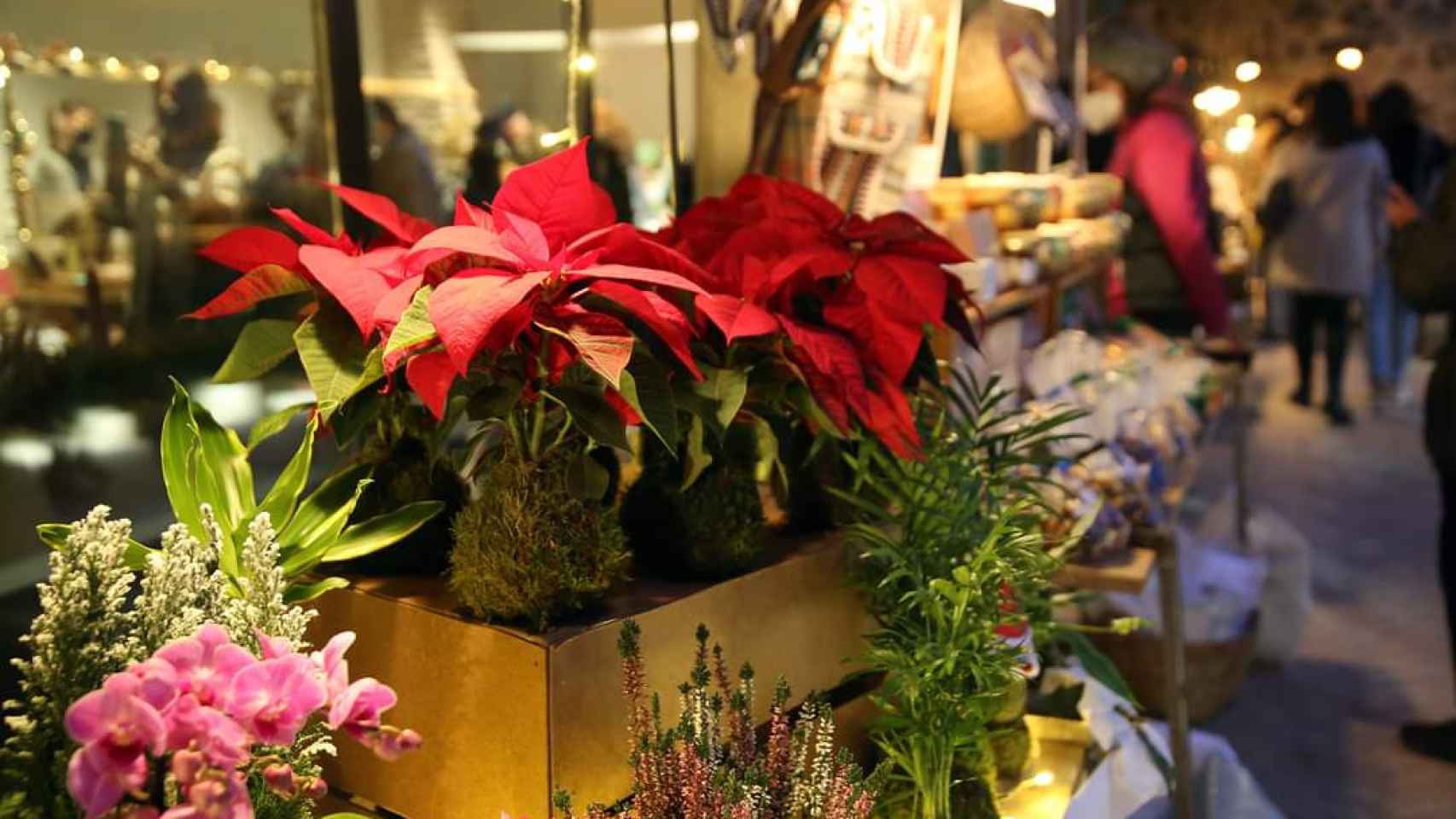 Arte floral Navidad en San Lucas 2021