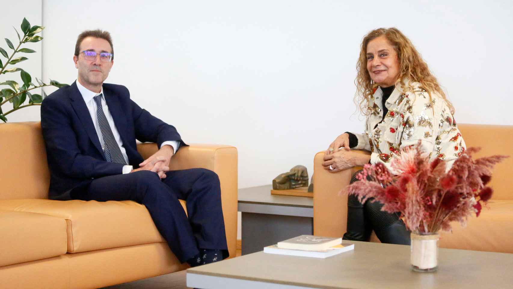 Reunión entre presidente de laAudiencia, Francisco Javier Menéndez, y la presidenta de la Diputación, Carmela Silva.