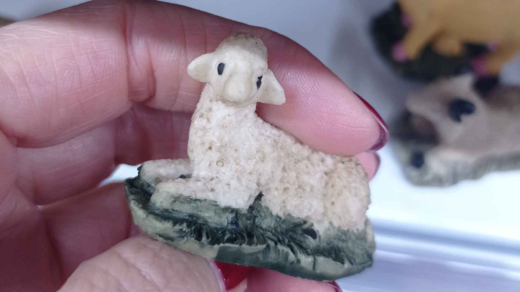 Una oveja copiada por una empresa china.