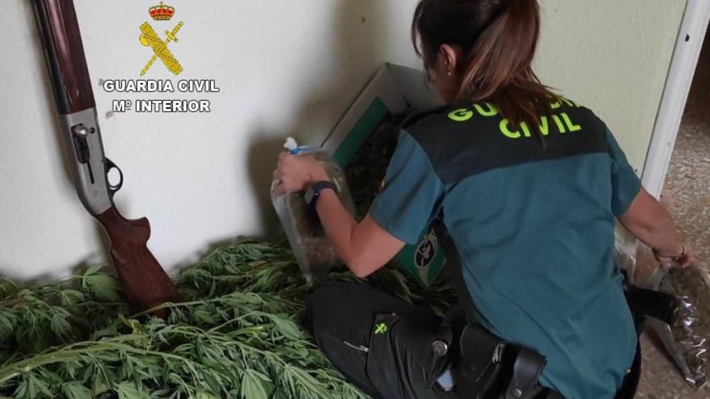 La Guardia Civil con la marihuana incautada