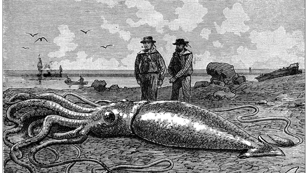 Imagen de archivo que muestra una ilustración antigua de un calamar gigante (Architeuthis dux).