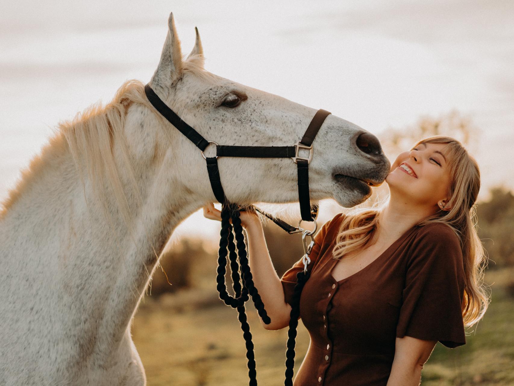 Con qué animal te identificas según tu personalidad?