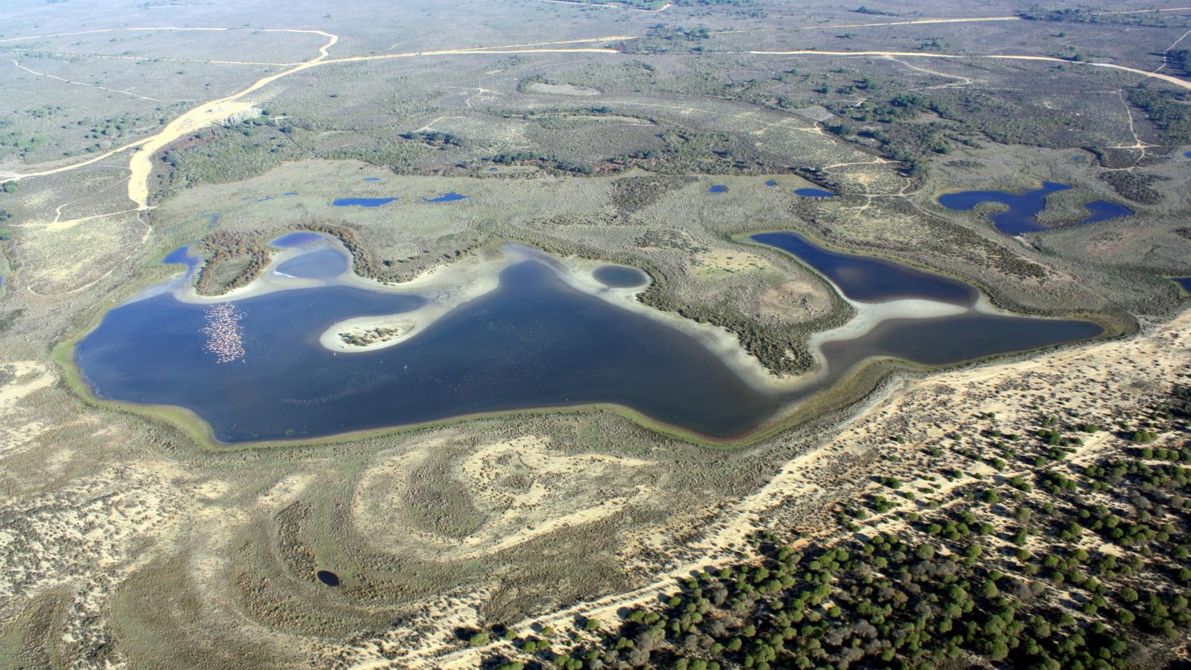 Vista aérea de Doñana en el mes de diciembre.