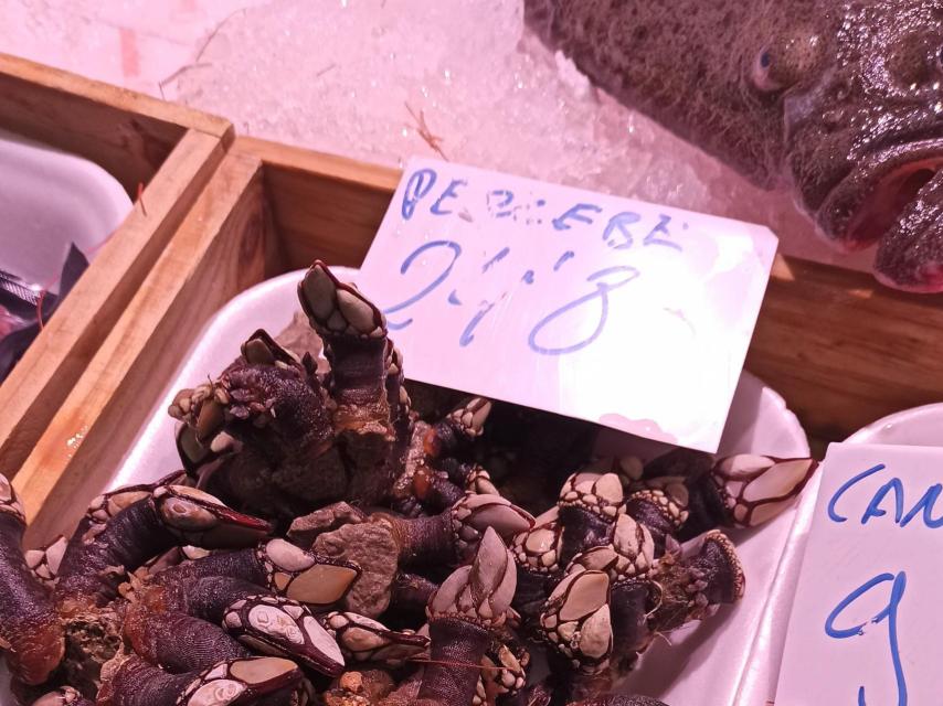 El precio de los percebes ha subido un 30% desde mediados de octubre