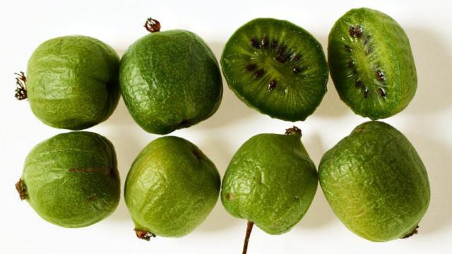 El “kiwi enano”, también llamado “kiwi baby”, “minikiwi” o “kiwiño”.