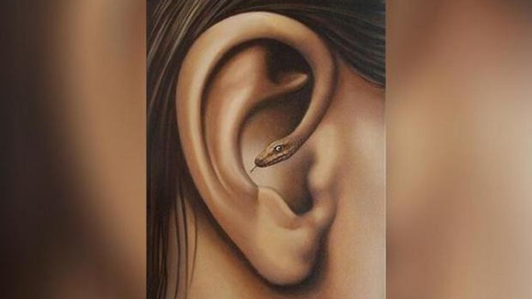 ¿Qué viste primero? ¿Una oreja o una serpiente?