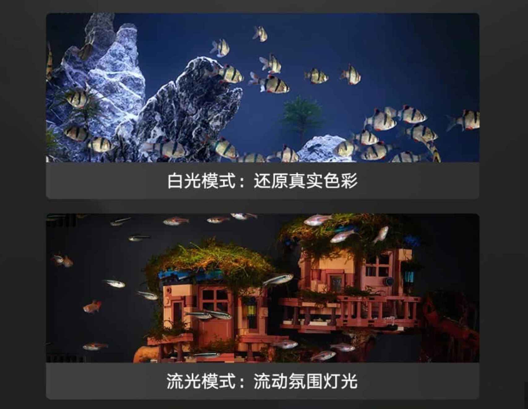 La iluminación del acuario de Xiaomi se puede configurar a nuestro gusto