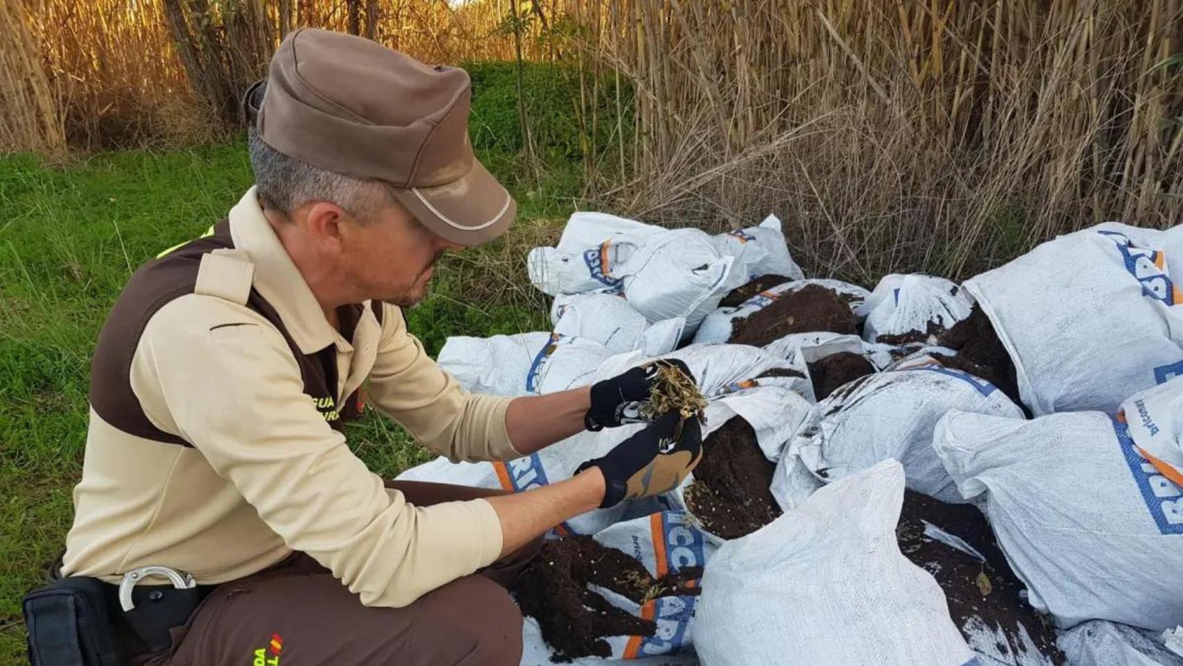 Encuentran por tercera vez restos de marihuana en la desembocadura del río Mijares (Castellón)