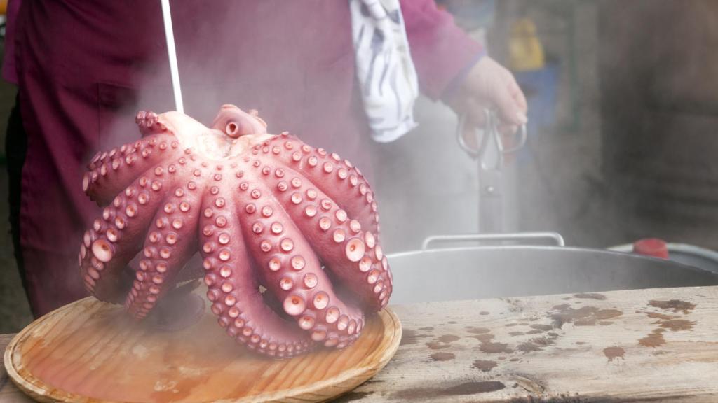 Preparación de 'pulpo a feira', plato tradicional pulpo en Lugo, Galicia, España