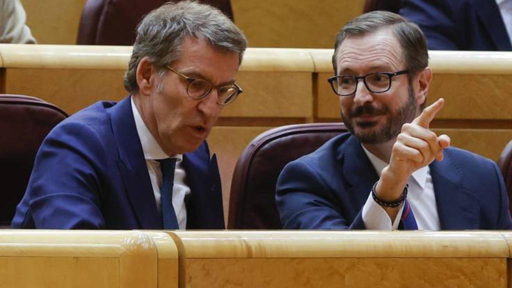 Feijó y Javier Maroto, portavoz del PP en el Senado, en una imagen tomada en la Cámara Alta.