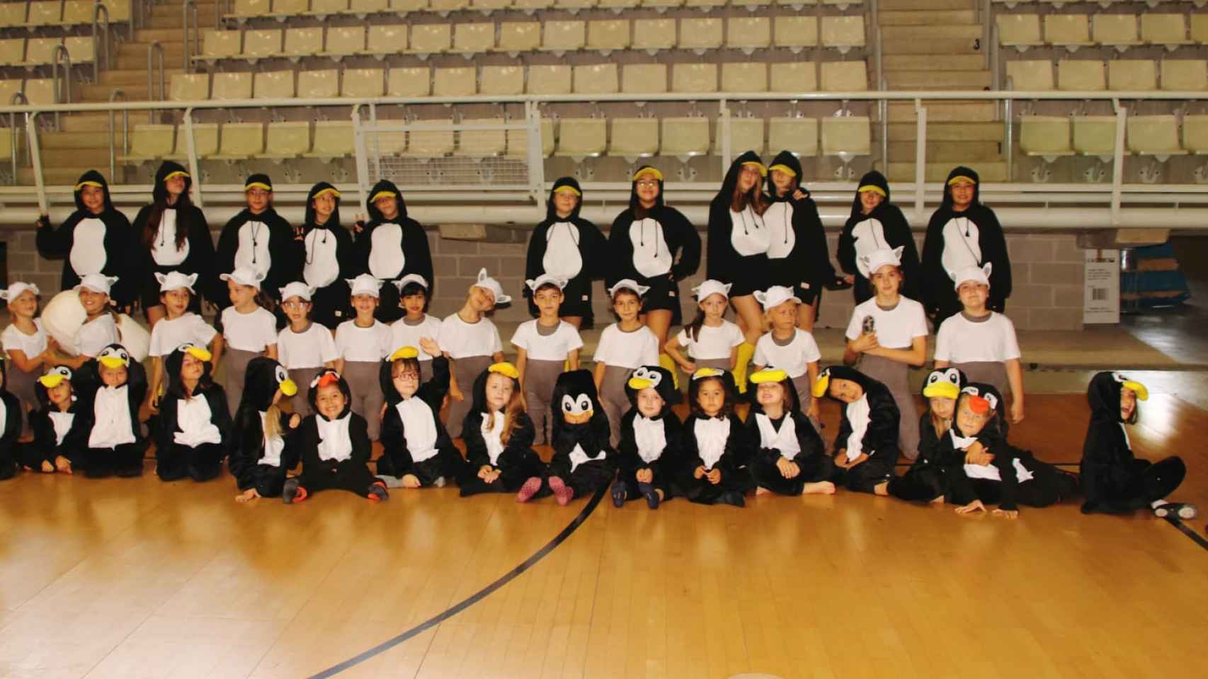 La 75 Cabalgata de los Reyes Magos de Alicante contará con 50 niños representando 'Madagascar'