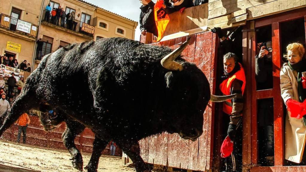 Encierro urbano en Castilla y León