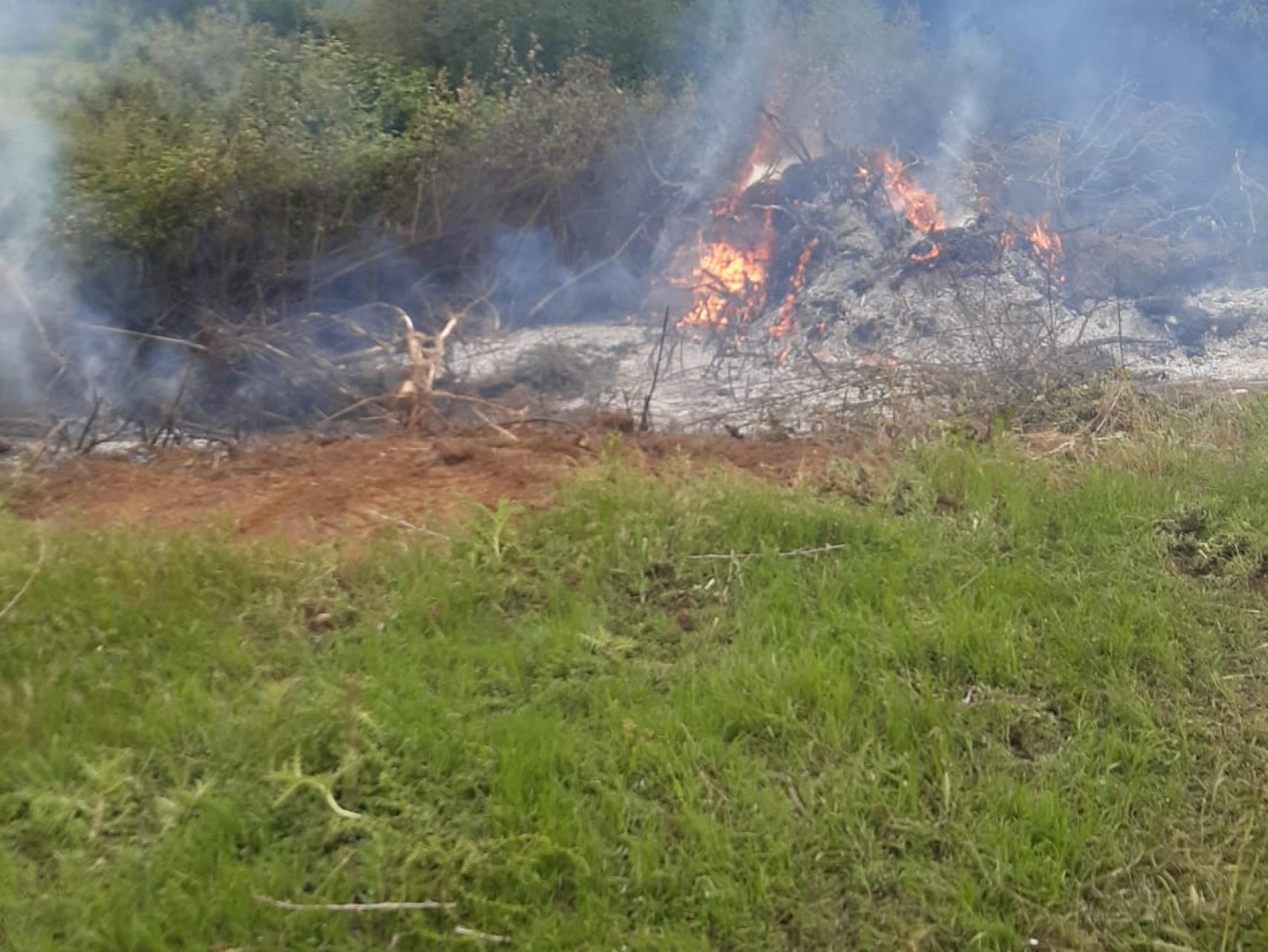 Imagen de la quema de unos residuos vegetales.