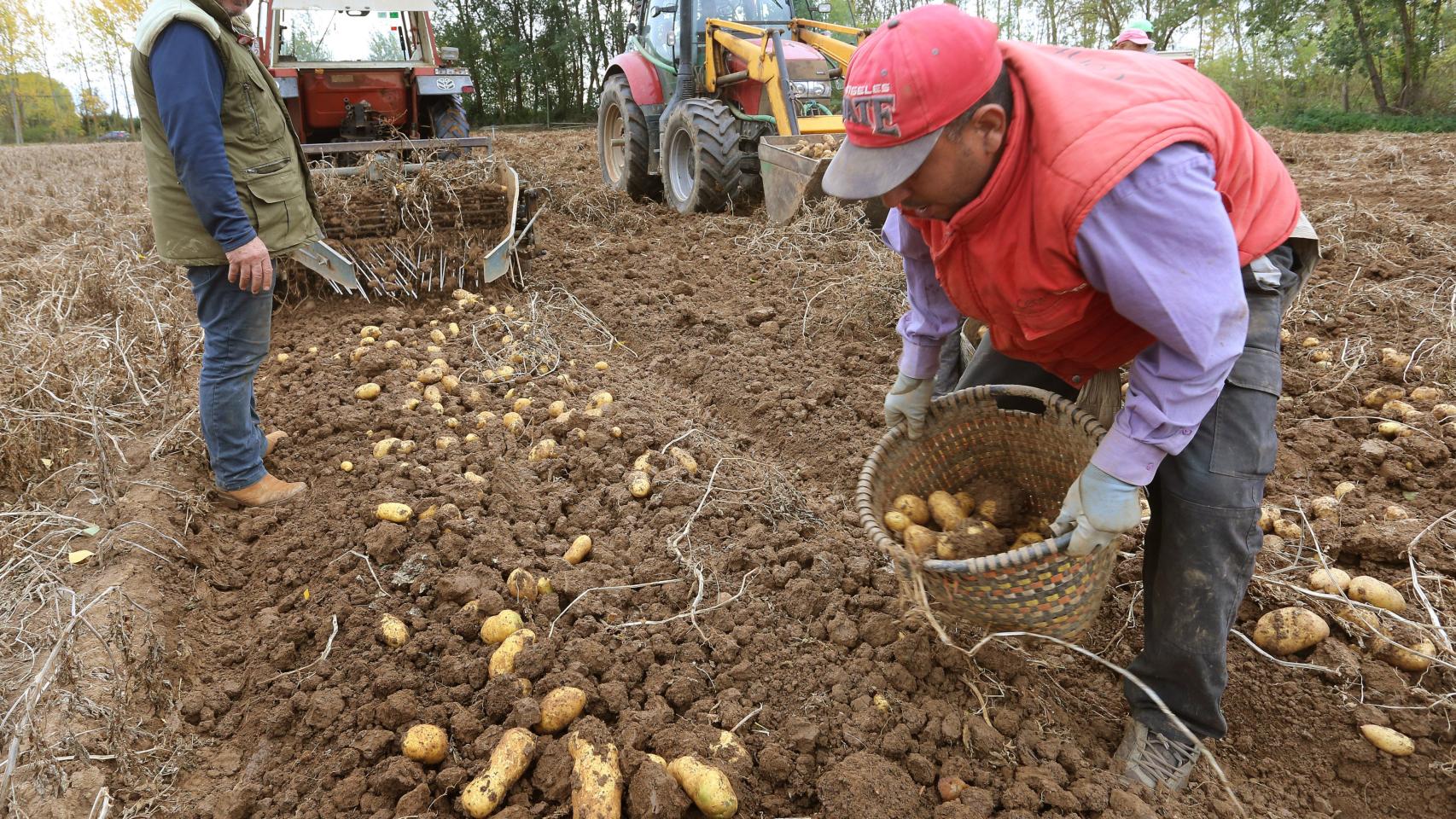 Unos agricultores en la provincia de Palencia.