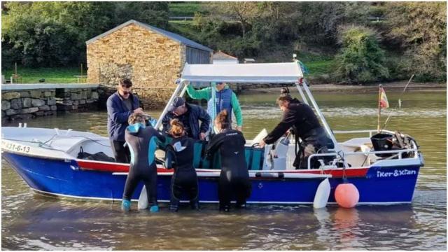 Rescatado un delfín varado en Ribadeo (Lugo) que la CEMMA teme que no ha sobrevivido