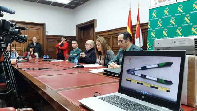 La delegada del Gobierno en Castilla y León, Virginia Barcones, durante la presentación