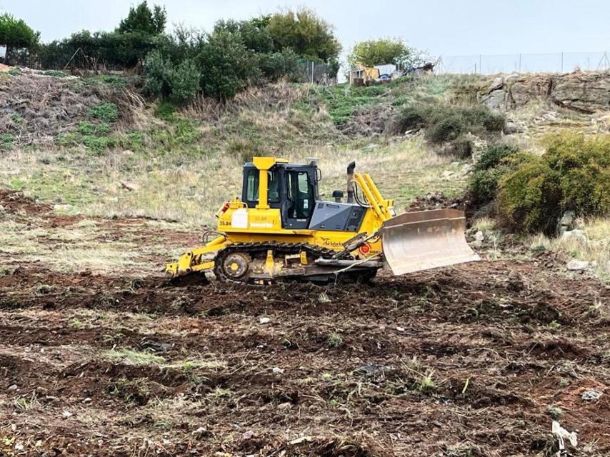 Imagen de las obras de reforestación del antiguo vertedero en la zona norte de Zamora.