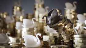 Cisnes blanco y uno negro sobre unas monedas.
