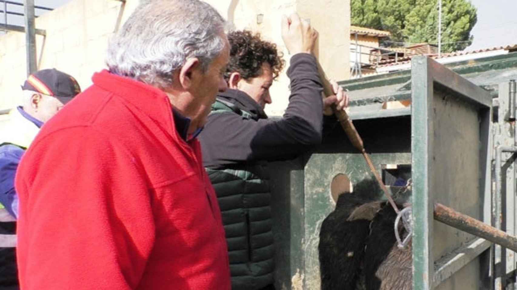 Sergio y Eladio Vegas en plena tarea de herrar a los animales