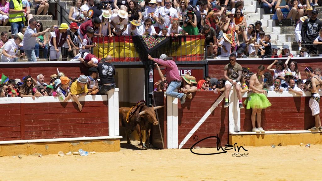 Portada del Viernes de Toros 2022