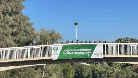 La federación de Peñas del Elche ha colgado este martes de un puente un cartel recordando el centenario.