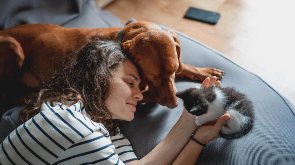 ¿Cuándo entra en vigor la Ley del Bienestar Animal? Todo lo que tienes que saber