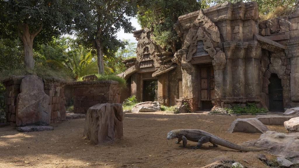 Un dragón de Komodo en Bioparc Fuengirola.