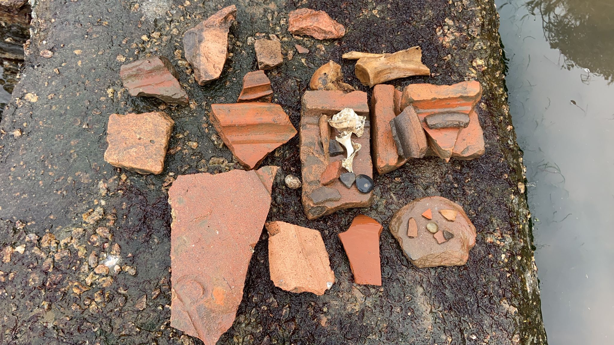 Algunos de los restos descubiertos en el castro de Panxón. Fotos: cedidas