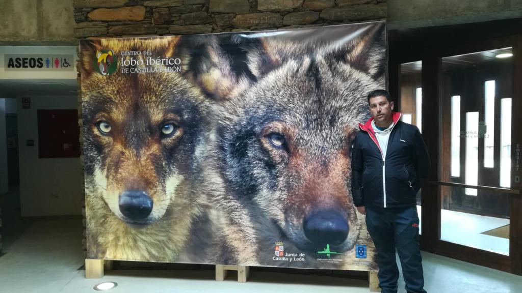 Ismael Bermejo en el centro del lobo ibérico de Castilla y León