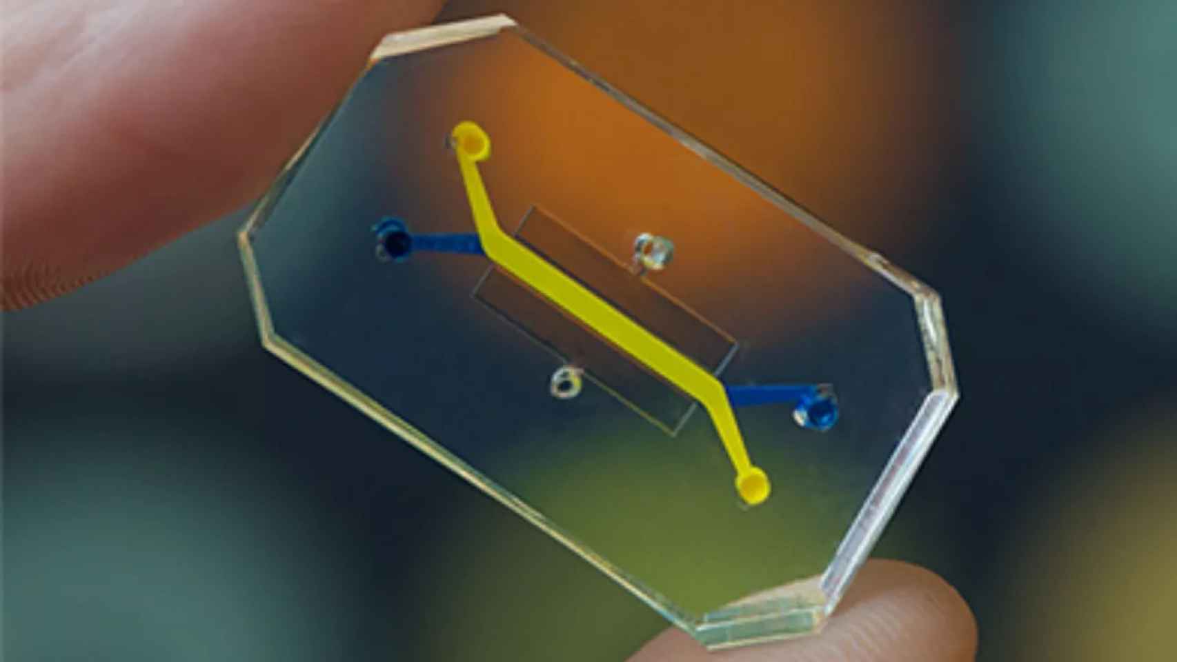 Ejemplo de Organ Chip desarrollado en el Instituto Wyss.