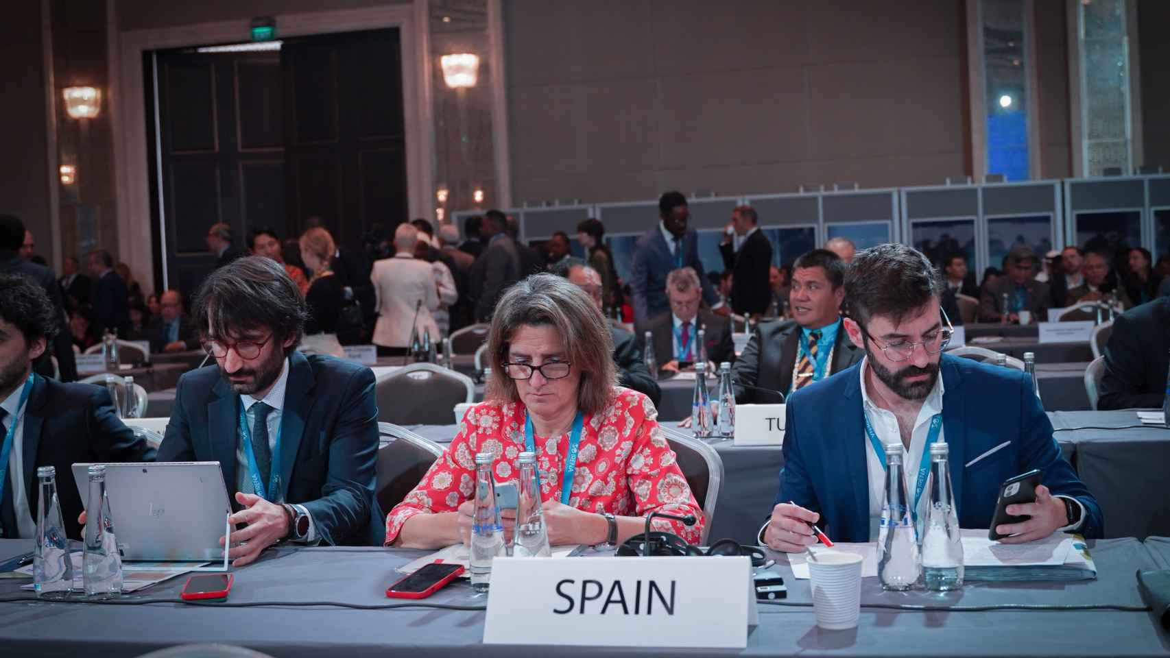 Delegación española en la 13ª Asamblea de IRENA
