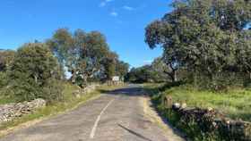 Estado actual de la carretera entre Fariza de Sayago con Mámoles